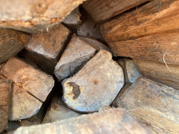 B-Ware - Buchenholz in 33 cm Holzlänge, kammergetrocknet mit Einwegbox (1,7 RM / 2,8 SRM)